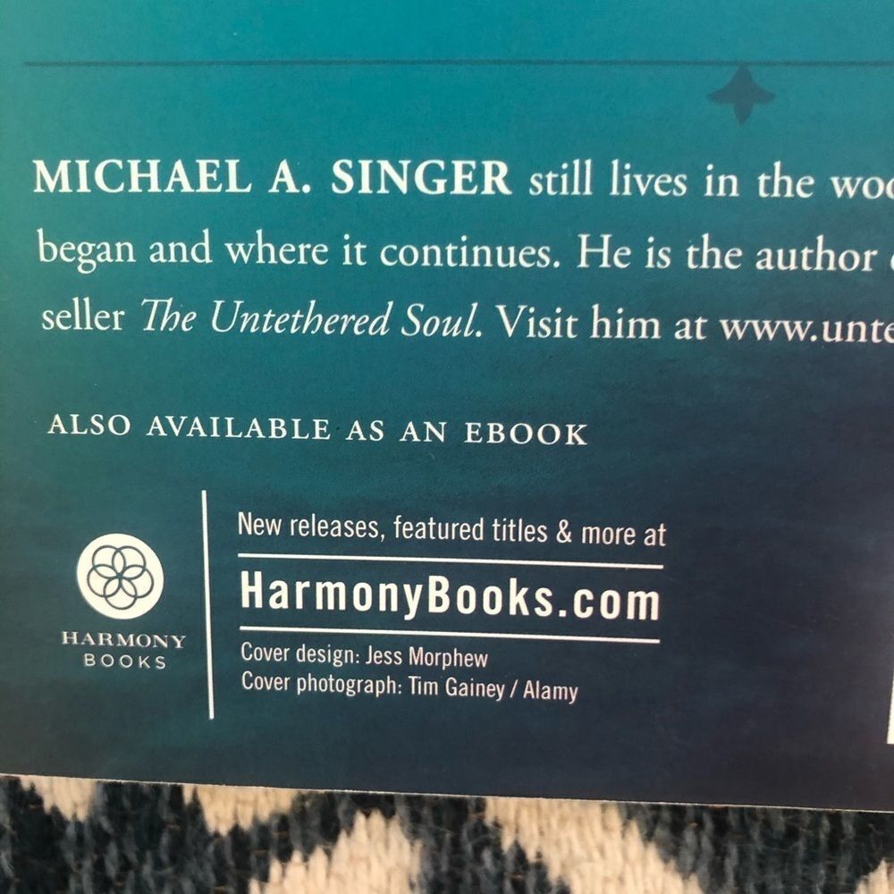Michael Singer The Surrender Experiment - Picture 4 of 4
